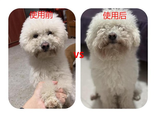 狮王沐浴露好吗 狮王沐浴露好吗