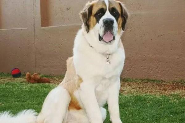 1623204868510413.jpg 1 (4).jpg