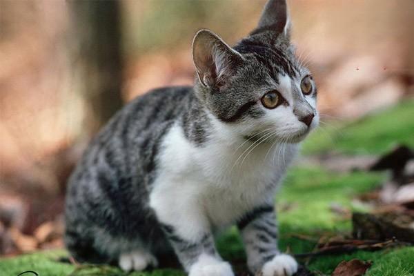 1623209779434066.jpg 2 (3).jpg