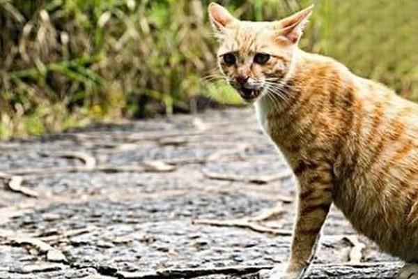 1623209925892194.jpg 2 (4).jpg