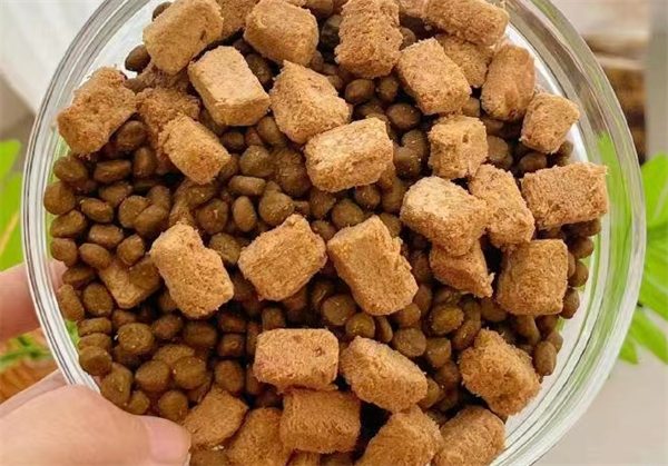 伯纳天纯狗粮适口性好吗 伯纳天纯狗粮适口性好吗