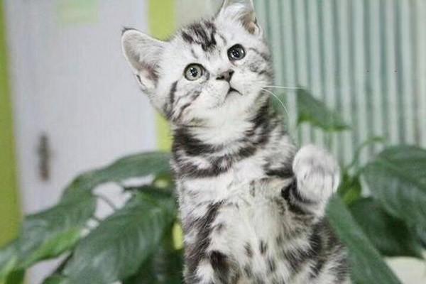 1623211547546364.jpg 4 (2).jpg