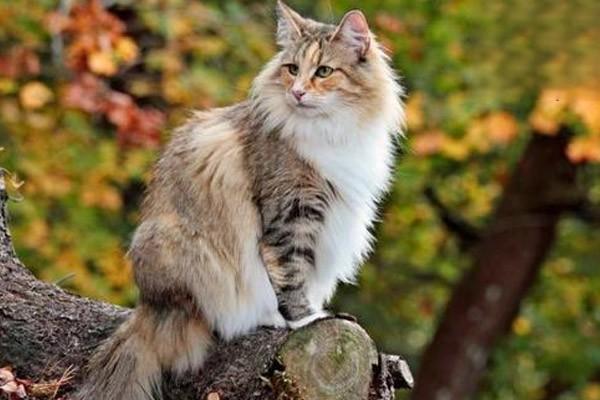 1623210362442325.jpg 3 (3).jpg