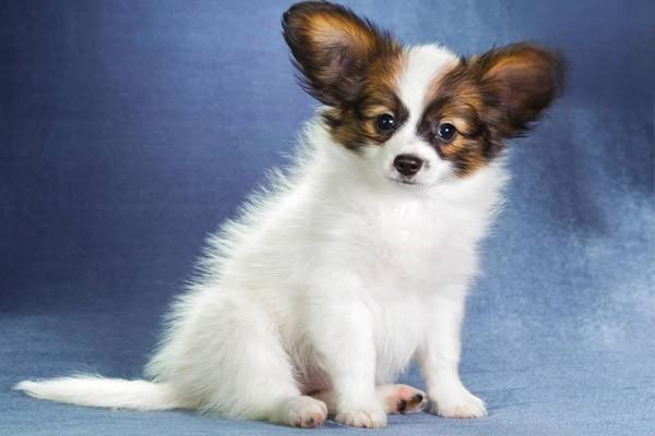 1623290565808609.jpg 22.jpg