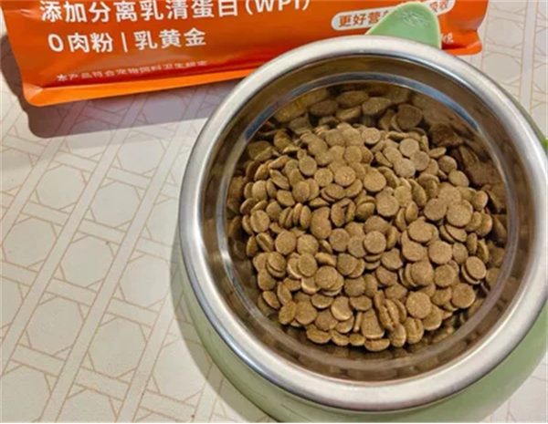 胖小虎狗粮测评结果