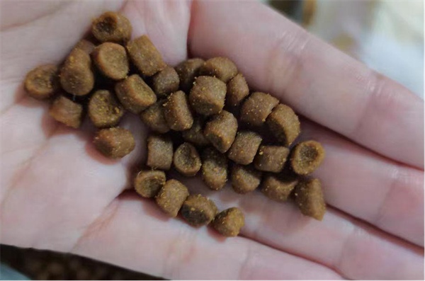 YoungAgain猫粮适口性