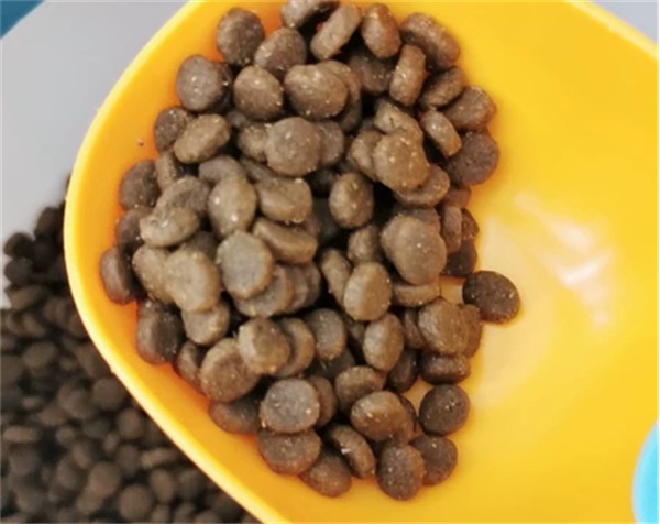 纽顿鳟鱼狗粮 纽顿鳟鱼狗粮