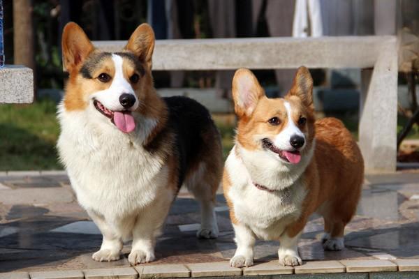 1623293679589187.jpg 169.jpg