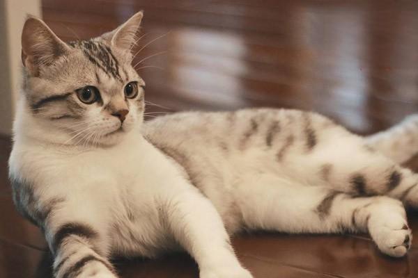 1623294093605228.jpg 1 (2).jpg