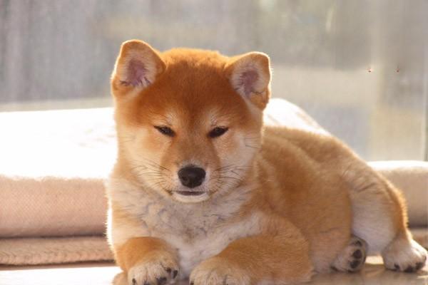 1623295893993362.jpg 5.jpg