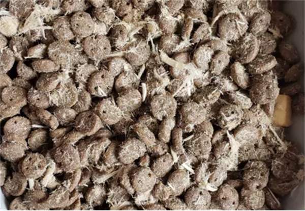 网易严选狗粮咋样