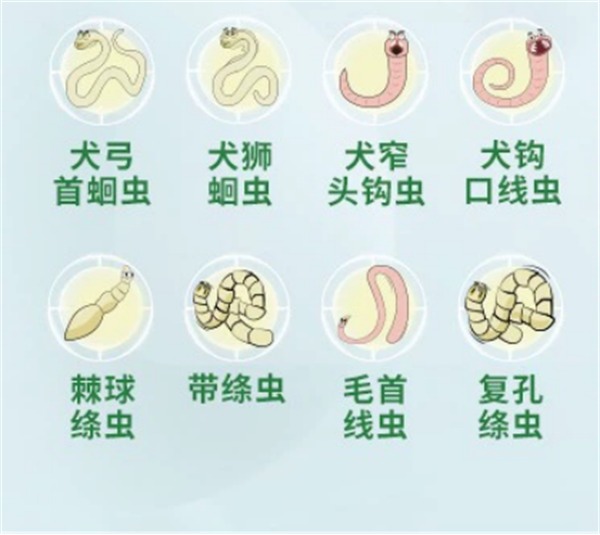 狗狗体内驱虫药测评 狗狗体内驱虫药测评