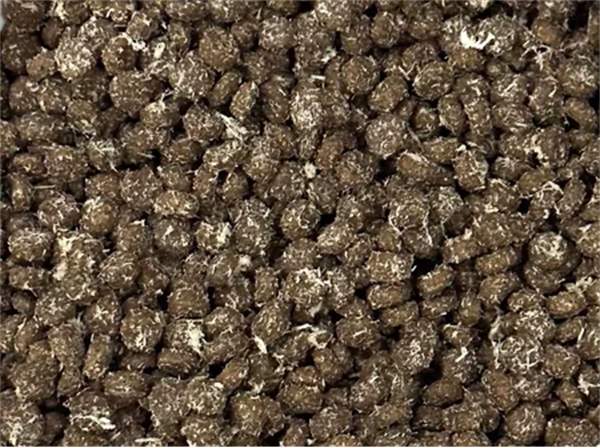 诚实一口猫粮 诚实一口猫粮