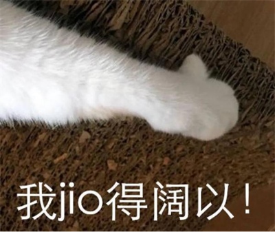 喵彩1:3:6混合猫砂怎么样 喵彩1:3:6混合猫砂怎么样