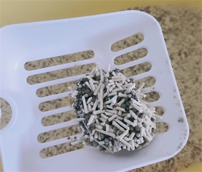 喵彩猫砂怎么样 喵彩猫砂怎么样