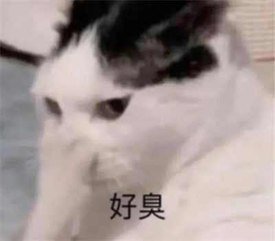 喵彩混合猫砂 喵彩混合猫砂