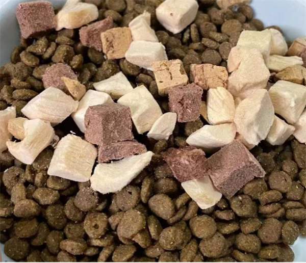 领先鲜肉猫粮测评 领先鲜肉猫粮测评