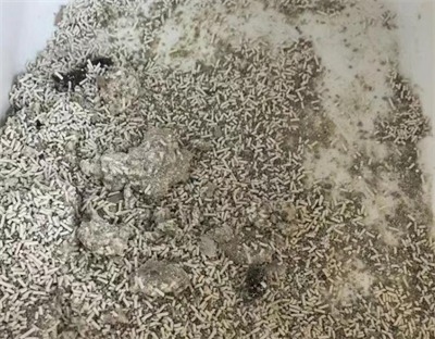 里兜猫砂好用吗 里兜猫砂好用吗