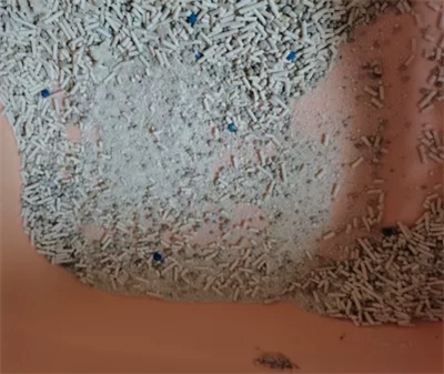 喵梵思猫砂测评