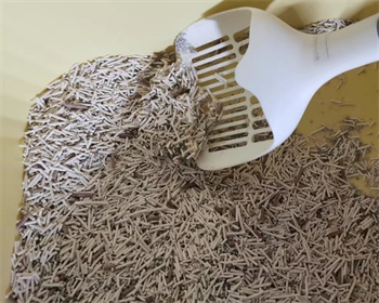 肉垫咖啡渣猫砂好用吗 肉垫咖啡渣猫砂好用吗