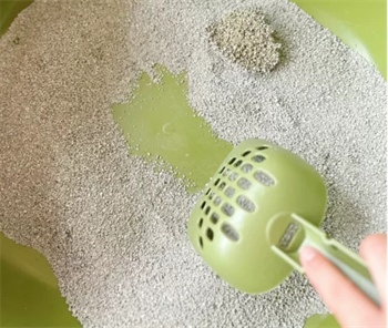 Petree测评 Petree测评