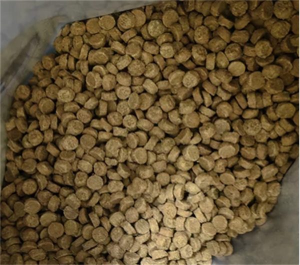 猫吃什么 猫吃什么