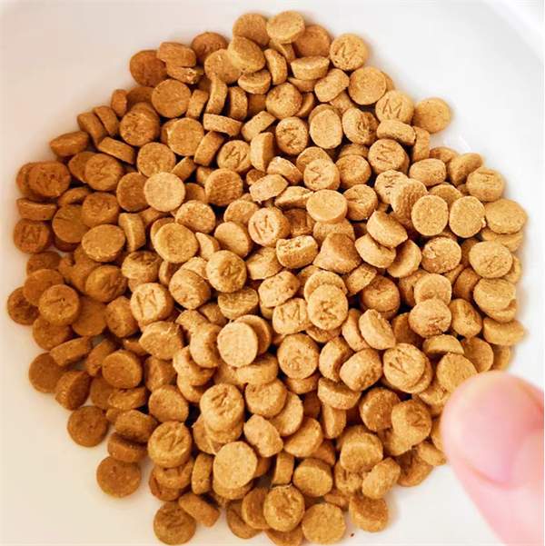 猫粮测评 猫粮测评