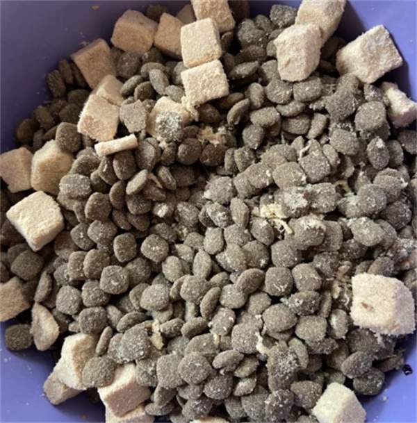 鲜粮说鸭肉梨狗粮怎么样 鲜粮说鸭肉梨狗粮怎么样