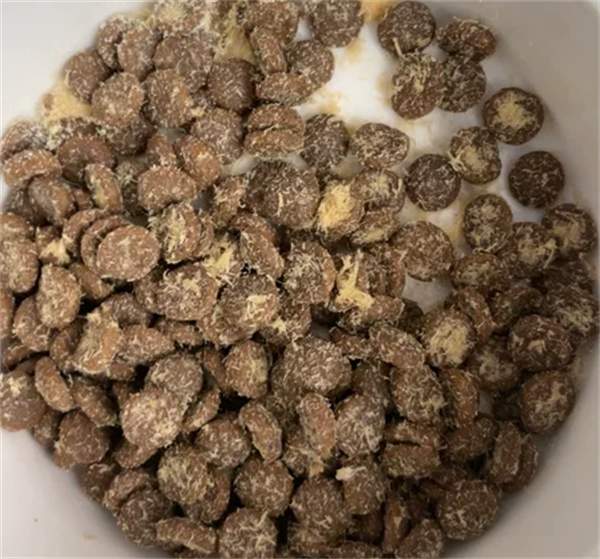 国产猫粮测评 国产猫粮测评