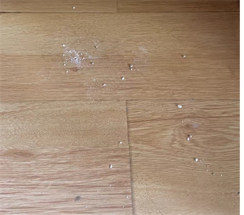 许翠花猫砂测评 许翠花猫砂测评