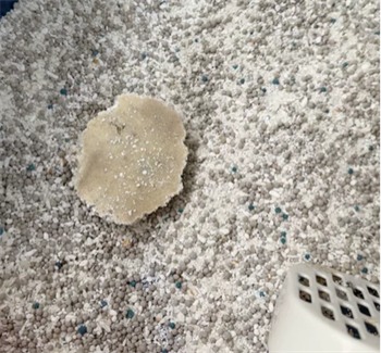 许翠花混合猫砂 许翠花混合猫砂