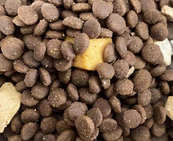 宠德奇猫粮好不好 宠德奇猫粮好不好