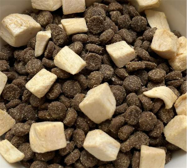 猫粮测评 猫粮测评