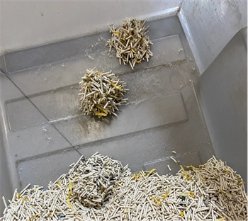 不劳小菊猫砂测评 不劳小菊猫砂测评