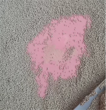 国产猫砂测评 国产猫砂测评