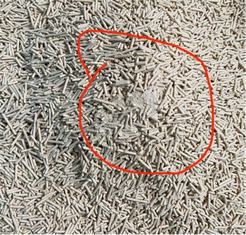 江小傲豆腐猫砂粉尘