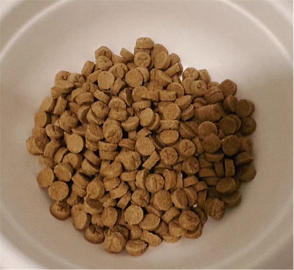 国产猫粮测评 国产猫粮测评