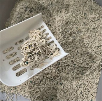 猫砂测评 猫砂测评