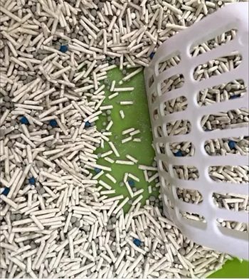 班奈混合豆腐猫砂 班奈混合豆腐猫砂