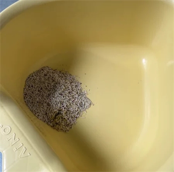 爱萌仕猫砂测评 爱萌仕猫砂测评