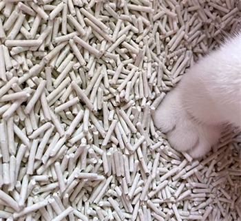 毛球殿下豆腐猫砂测评 毛球殿下豆腐猫砂测评