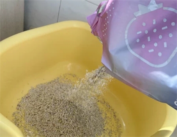 爱萌仕草莓猫砂 爱萌仕草莓猫砂