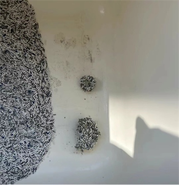 猫不理狗子猫砂