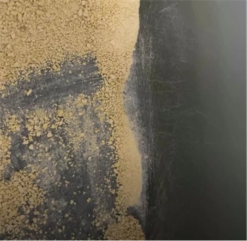 猫不理狗子小米猫砂 猫不理狗子小米猫砂