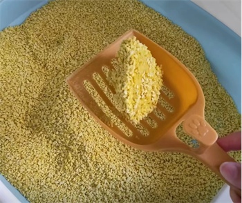 猫不理狗子猫砂怎么样? 猫不理狗子猫砂怎么样?