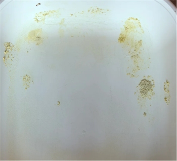 猫不理狗子猫砂 猫不理狗子猫砂