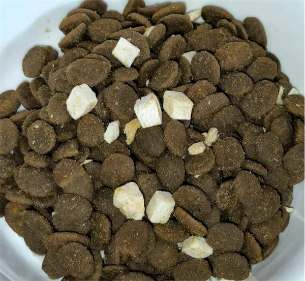 江湖萌主猫粮好不好 江湖萌主猫粮好不好