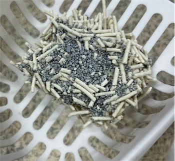 猫砂测评 猫砂测评