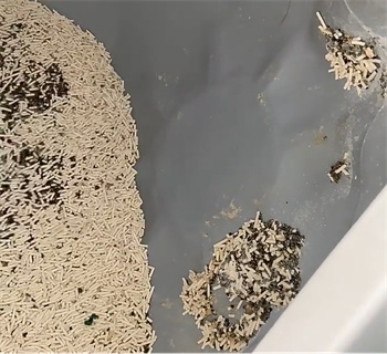 喵达红袋混合猫砂怎么样? 喵达红袋混合猫砂怎么样?