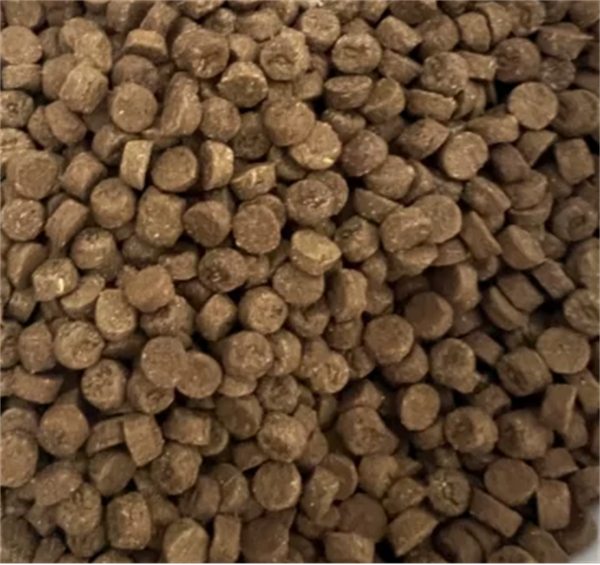 东边猫粮适口性 东边猫粮适口性